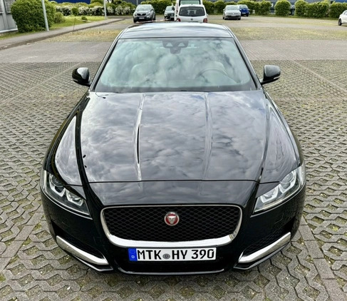 Jaguar XF cena 159900 przebieg: 39500, rok produkcji 2020 z Częstochowa małe 667